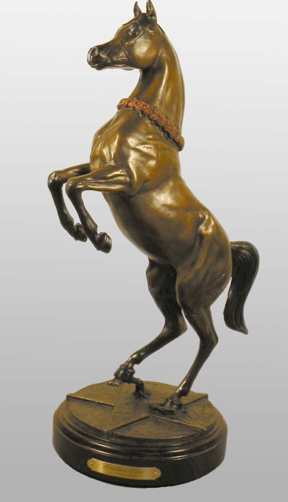 Arabian Star