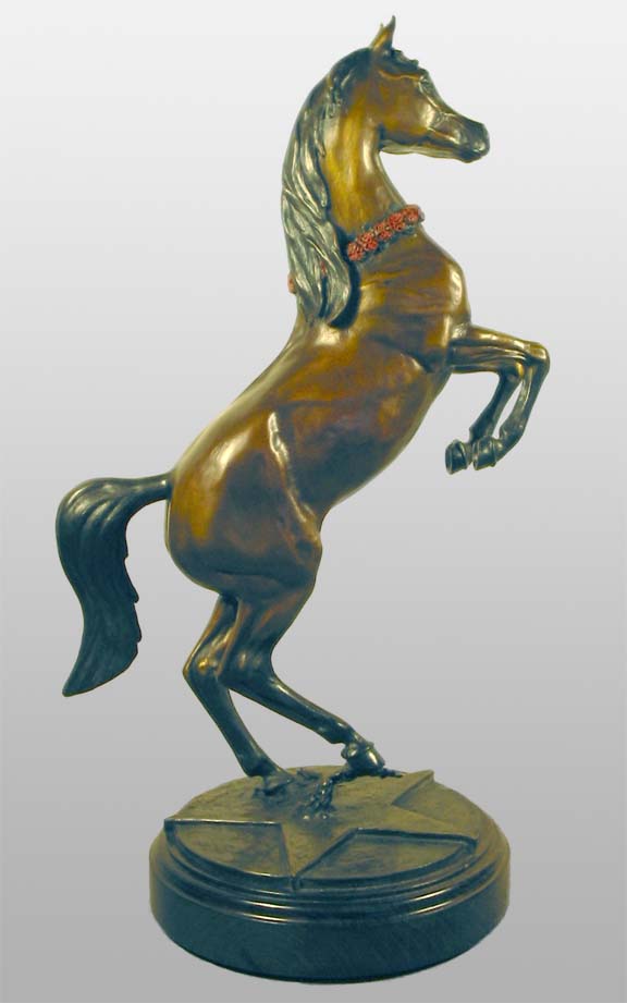 Arabian Star - Right Side