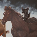 Wild & Free 72x48 Wild & Free 72x48