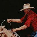 Fast Horses & Sure Ropes 30x24